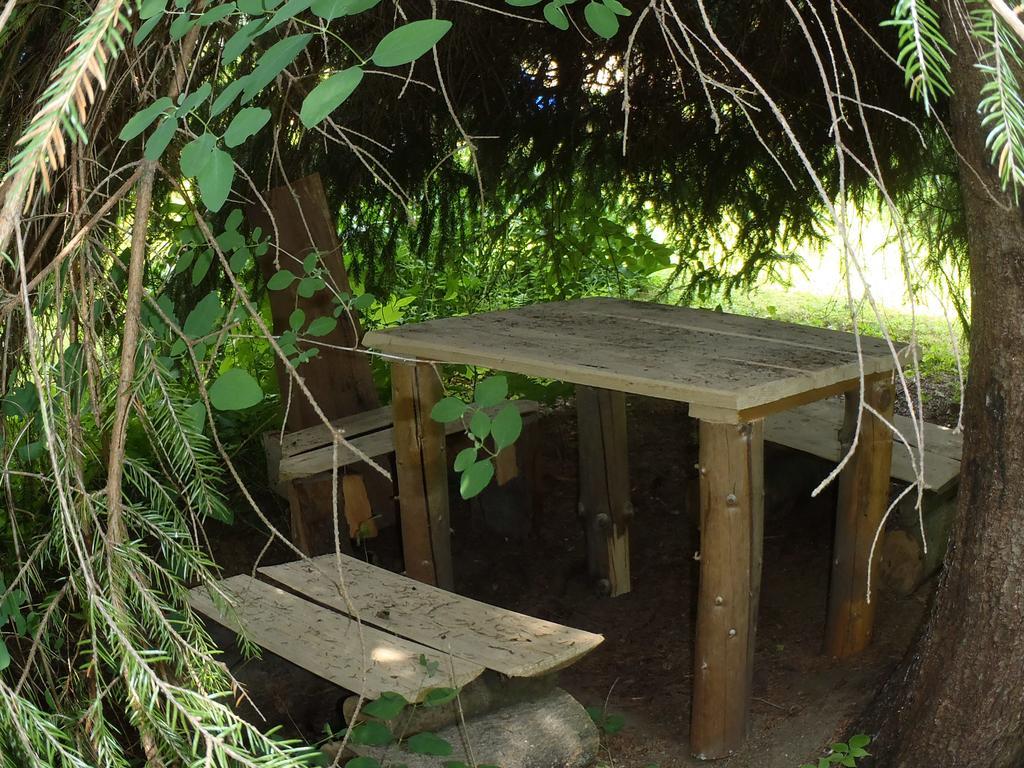 Modry Pension Rokytnice Рокицани Экстерьер фото